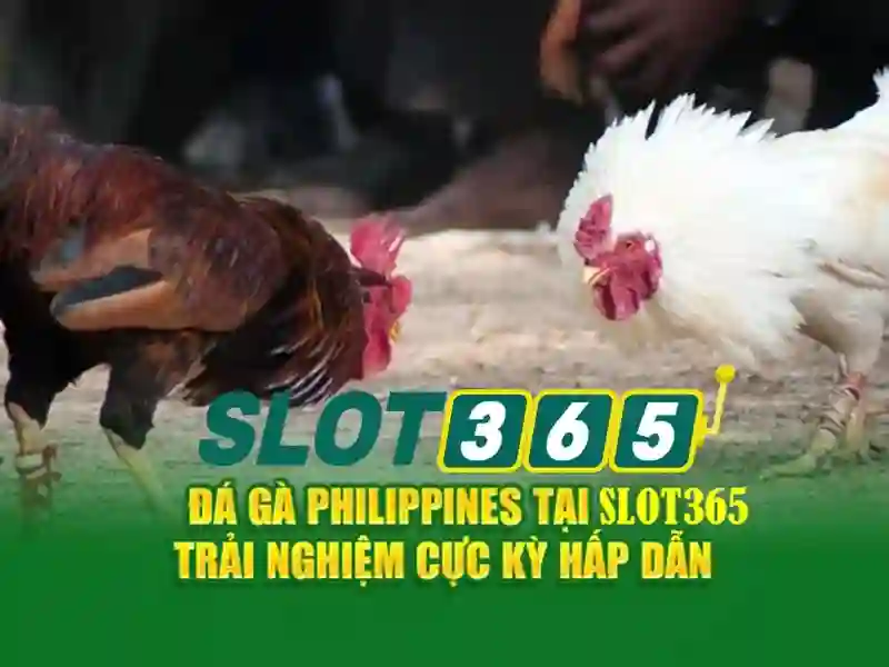 link Slot365: Kết nối trải nghiệm số đỉnh cao và thương hiệu tin cậy