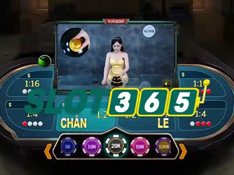 hoki slot365 - Trải nghiệm casino trực tuyến đỉnh cao và an toàn