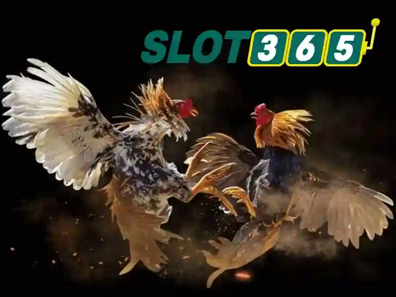 Sản phẩm và dịch vụ cốt lõi – Ứng dụng Slot365 free