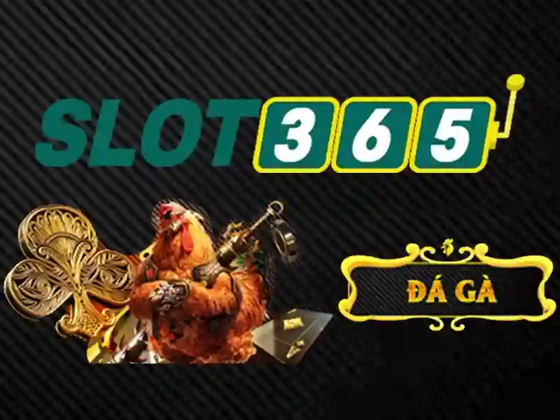 Link dự phòng Slot365 – Giải pháp an toàn và uy tín cho người chơi